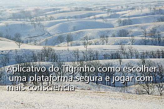Aplicativo do Tigrinho como escolher uma plataforma segura e jogar com mais consciência_1001